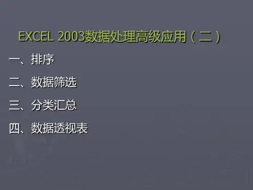 20 Excel 数据处理高级应用(二)