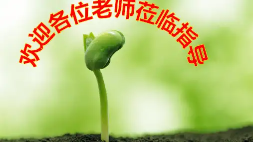 于细节处见真情