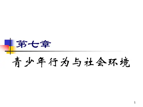 第七章 青少年行为与社会环境 人类行为与社会环境 教学课件