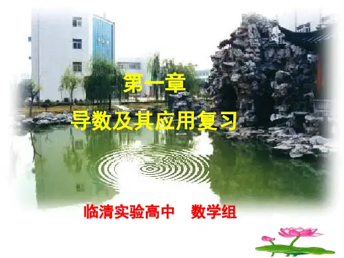 导数及其应用复习小结