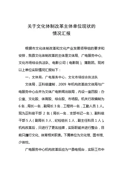 文化体制改革汇报