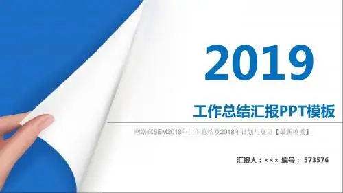 网络部SEM2018年工作总结及2018年计划与展望【最新模板】