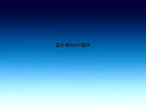 蓝色精致PPT图表