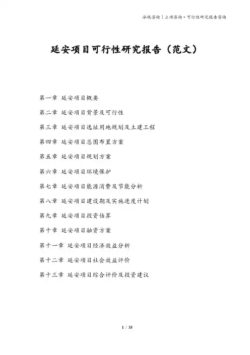 延安项目可行性研究报告(范文)