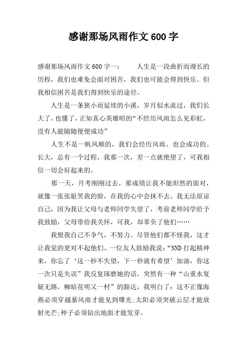 感谢那场风雨作文600字