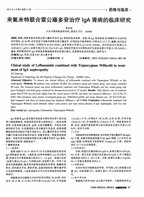 来氟米特联合雷公藤多苷治疗IgA肾病的临床研究