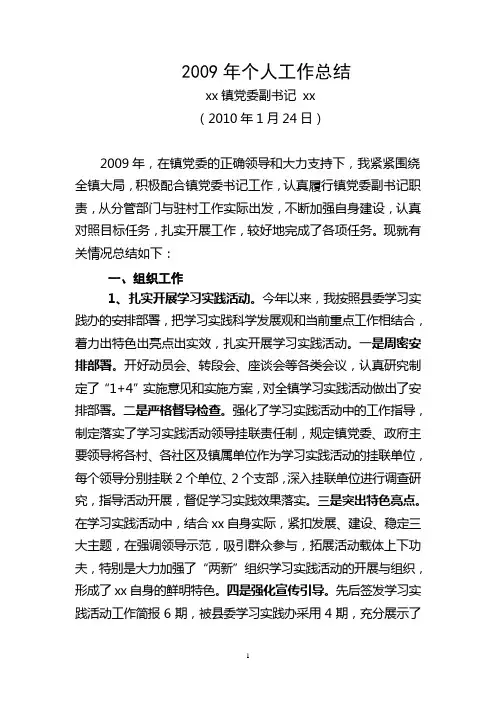 镇党委副书记总结