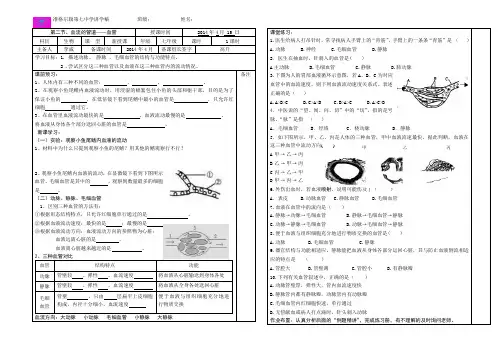 4.4.2血流的管道——血管