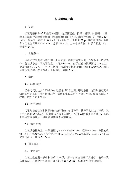 红花栽培技术 2
