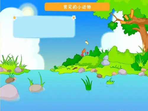 各种各样的动物—昆虫