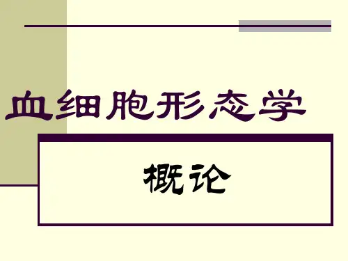 血细胞形态学精品PPT课件