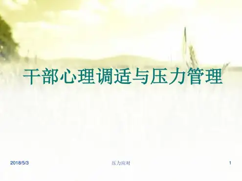 干部心理调适与压力管理PPT