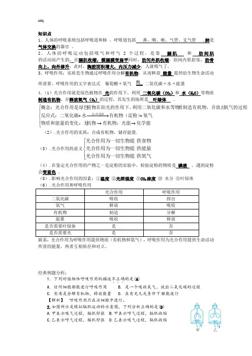 浙教版科学八年级下册期末复习十二 光合作用和呼吸作用.知识点+经典例题(有答案解析)docx