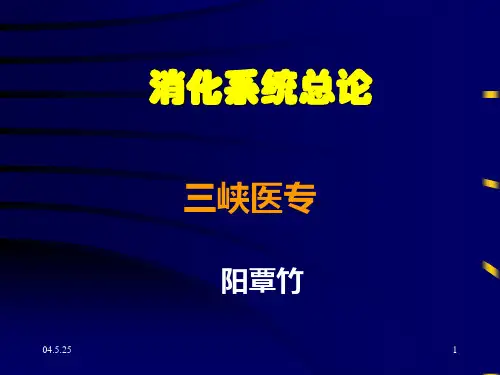消化系统疾病总论