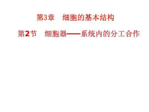 一轮复习细胞器 PPT课件