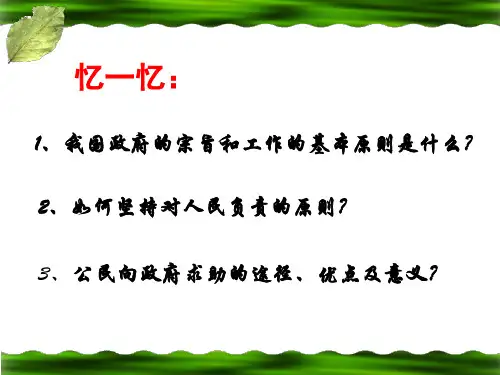 政府的权力:依法行使(上课用)