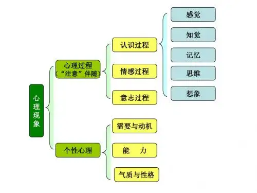 基础心理学知识结构图