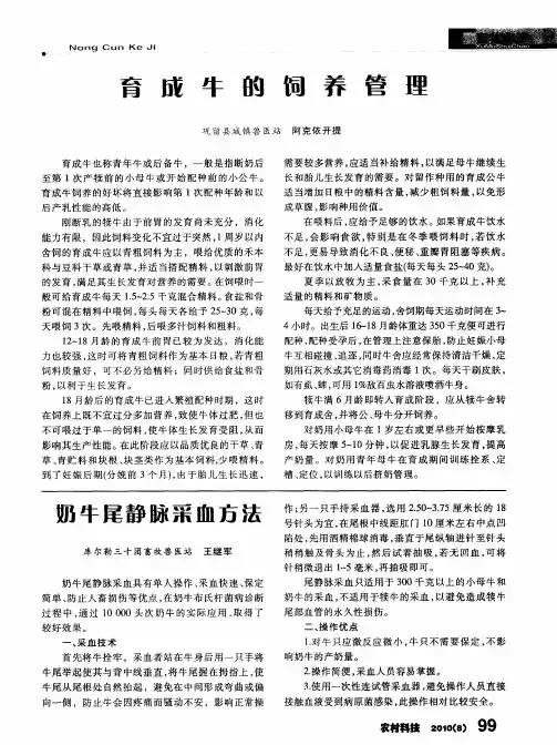 育成牛的饲养管理