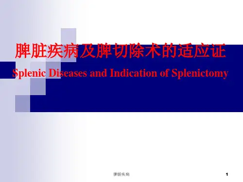 脾脏疾病ppt课件