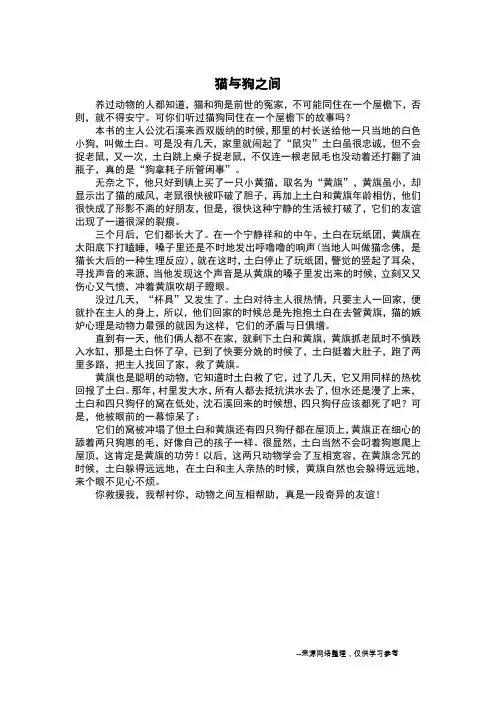 猫与狗之间_读后感作文