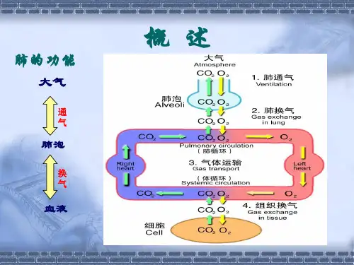 呼吸衰竭护理 丁兆艳_PPT课件