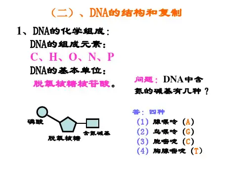 dna的结构和复制ppt