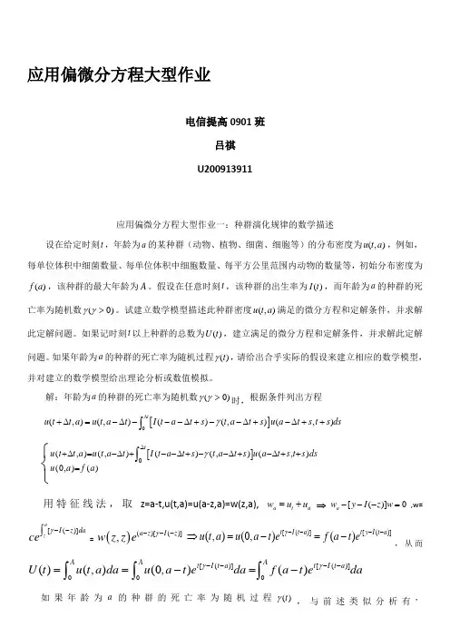 偏微分大型作业