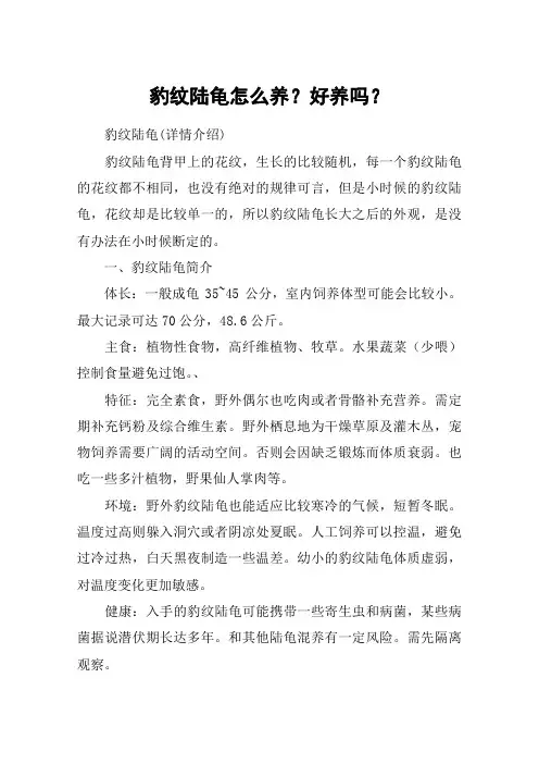 豹纹陆龟怎么养？好养吗？