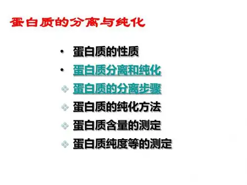 蛋白质的提取