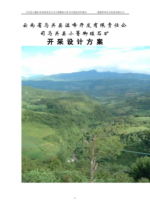 安全评价报告