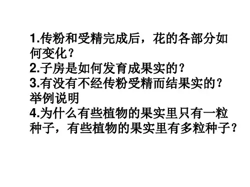 果实和种子的形成
