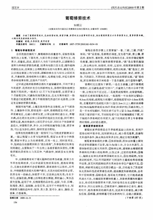 葡萄修剪技术