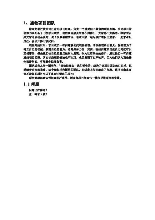 IT 项目管理经典案例