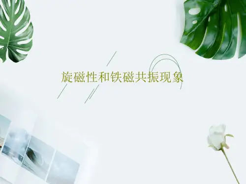 旋磁性和铁磁共振现象共33页
