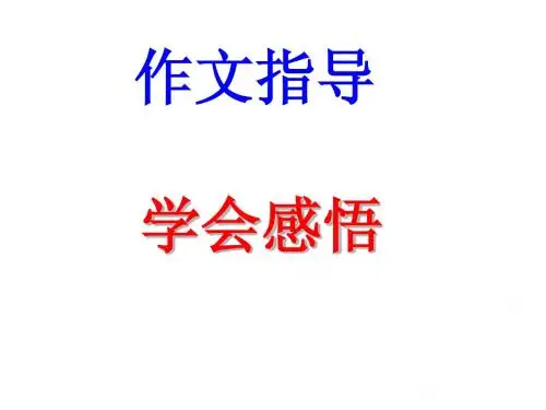 学会感悟2007102917549466