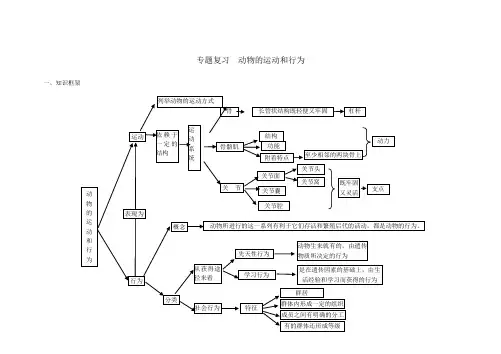 专题复习  动物的运动和行为