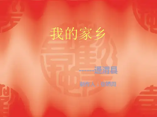 我的家乡---美丽的定西市通渭县PPT资料25页