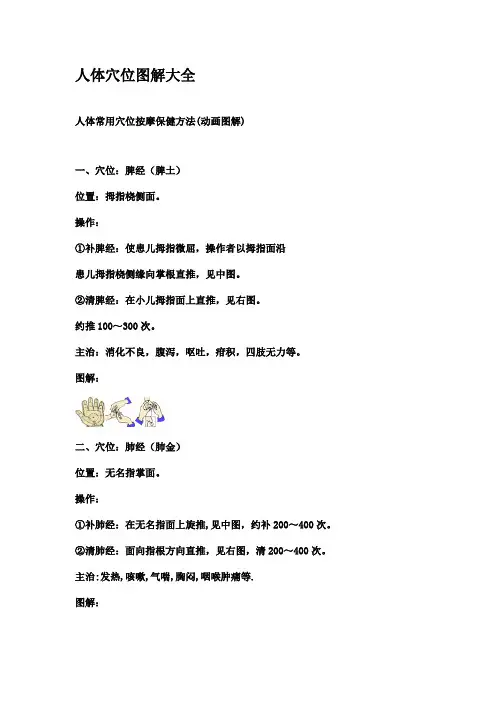 人体穴位图解大全