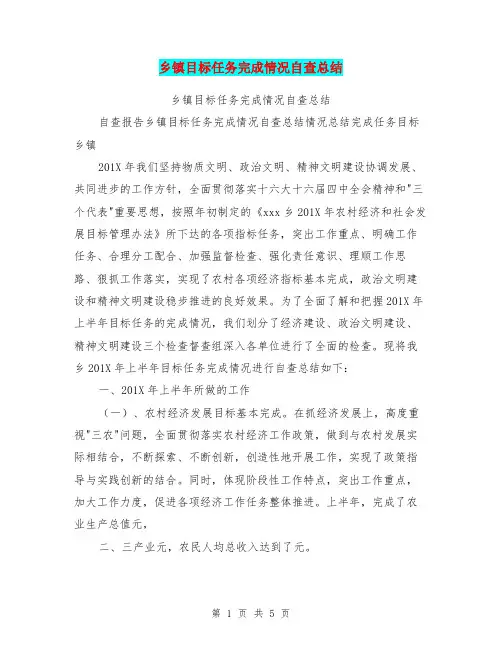 乡镇目标任务完成情况自查总结