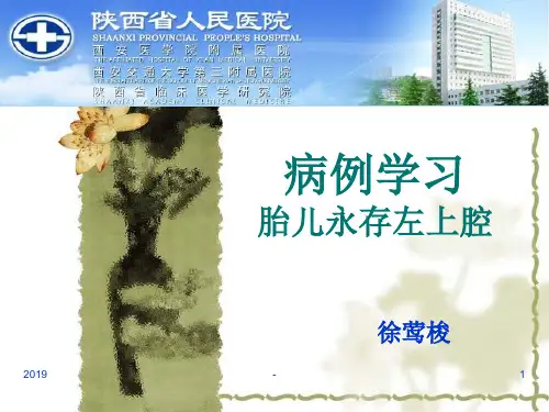永存左上腔分析ppt课件