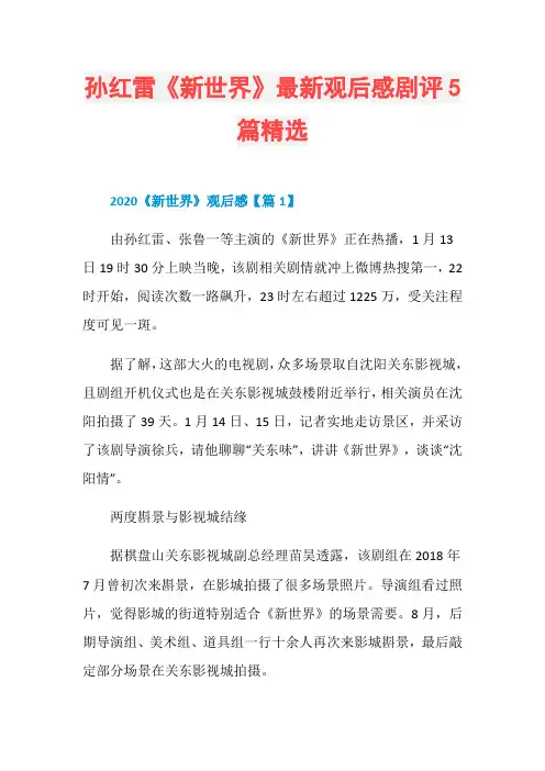 孙红雷《新世界》最新观后感剧评5篇精选