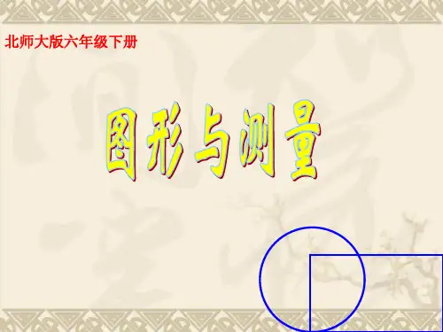 图形与测量总复习(北师大版六年级下册)