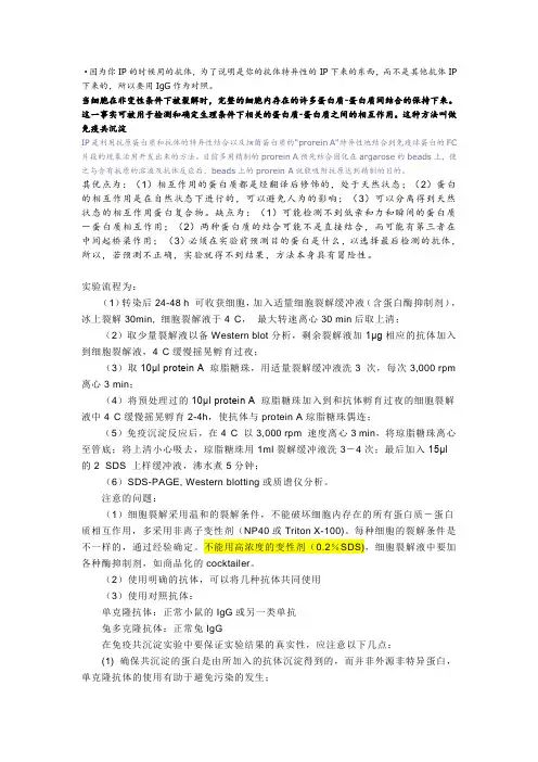 免疫共沉淀  原理
