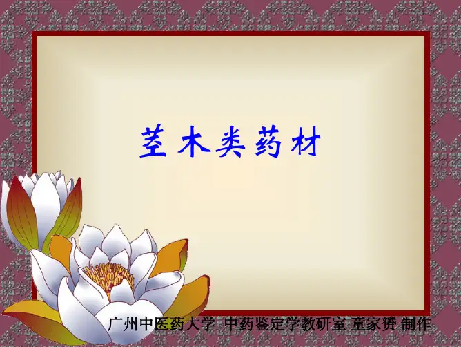 广州中医药大学精品课程中药鉴定茎木类药材