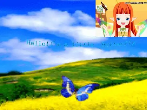 butterfly