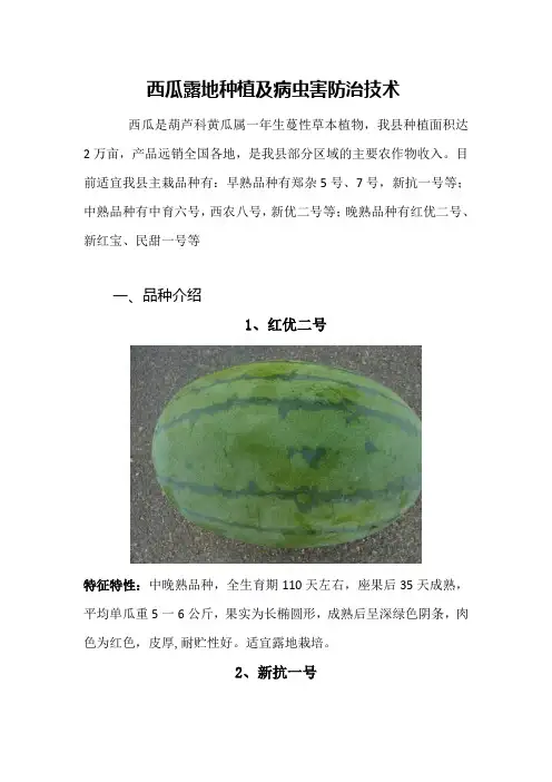 西瓜栽培技术