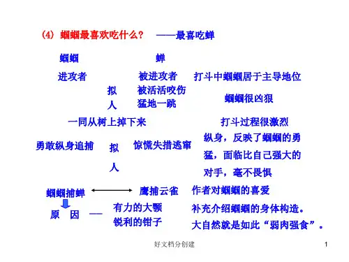 2020新课标改编版初中语文多媒体教学课件：23 ﹡绿色蝈蝈(人教版七年级上)_21-25
