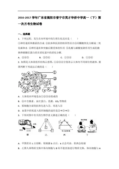 广东省揭阳市普宁市英才华侨中学2016-2017学年高一下学期第一次月考生物试卷 含解析 精品