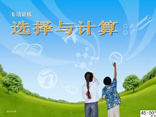 2012年中考物理专项训练(选择与计算)课件