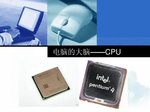 CPU基础讲解